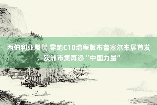 西伯利亚属鼠 零跑C10增程版布鲁塞尔车展首发，欧洲市集再添“中国力量”