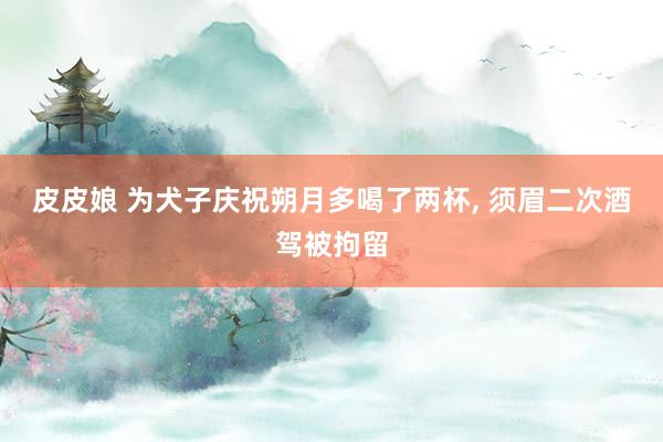 皮皮娘 为犬子庆祝朔月多喝了两杯， 须眉二次酒驾被拘留