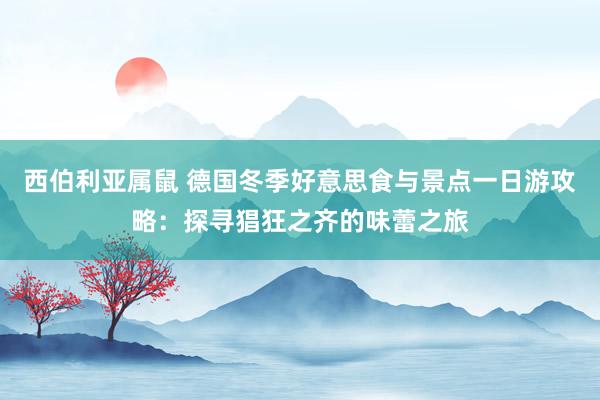 西伯利亚属鼠 德国冬季好意思食与景点一日游攻略：探寻猖狂之齐的味蕾之旅