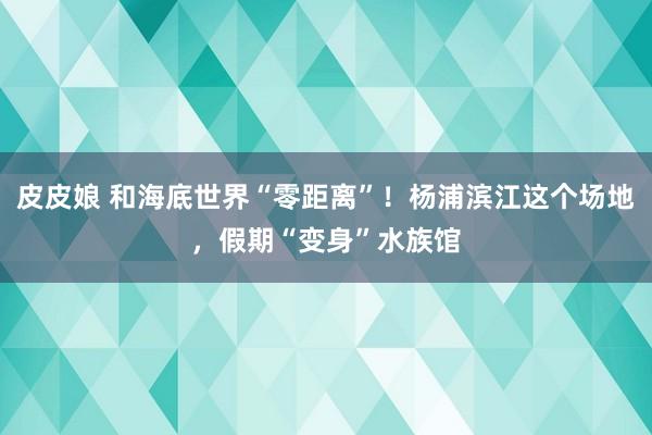 皮皮娘 和海底世界“零距离”！杨浦滨江这个场地，假期“变身”水族馆