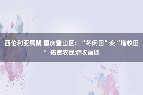 西伯利亚属鼠 重庆璧山区：“冬闲田”变“增收田” 拓宽农民增收渠谈