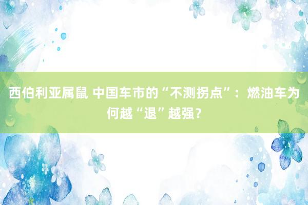西伯利亚属鼠 中国车市的“不测拐点”：燃油车为何越“退”越强？