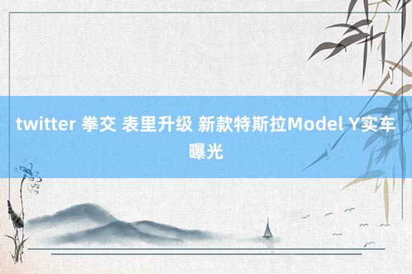 twitter 拳交 表里升级 新款特斯拉Model Y实车曝光