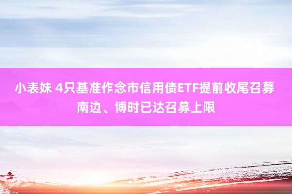 小表妹 4只基准作念市信用债ETF提前收尾召募 南边、博时已达召募上限