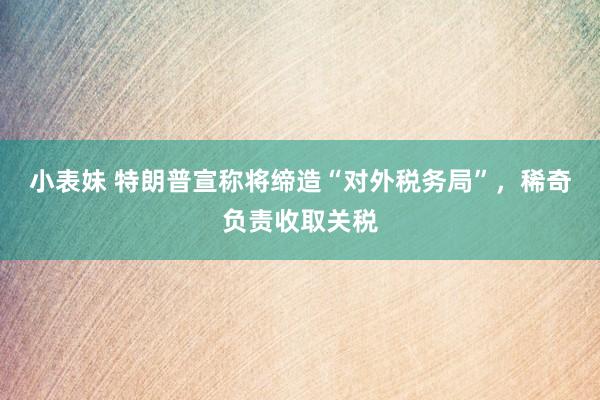 小表妹 特朗普宣称将缔造“对外税务局”，稀奇负责收取关税