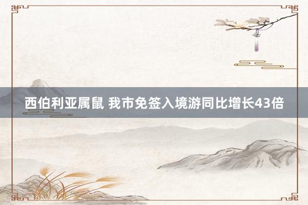 西伯利亚属鼠 我市免签入境游同比增长43倍