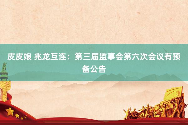 皮皮娘 兆龙互连：第三届监事会第六次会议有预备公告