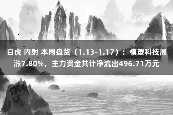 白虎 内射 本周盘货（1.13-1.17）：模塑科技周涨7.80%，主力资金共计净流出496.71万元