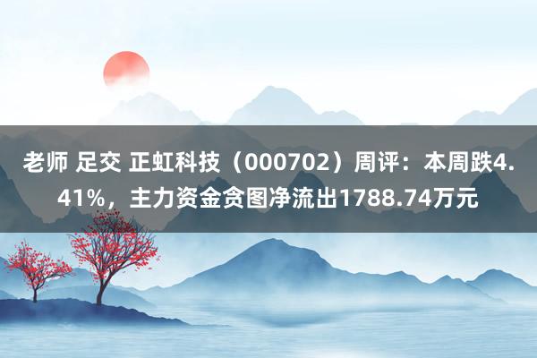老师 足交 正虹科技（000702）周评：本周跌4.41%，主力资金贪图净流出1788.74万元