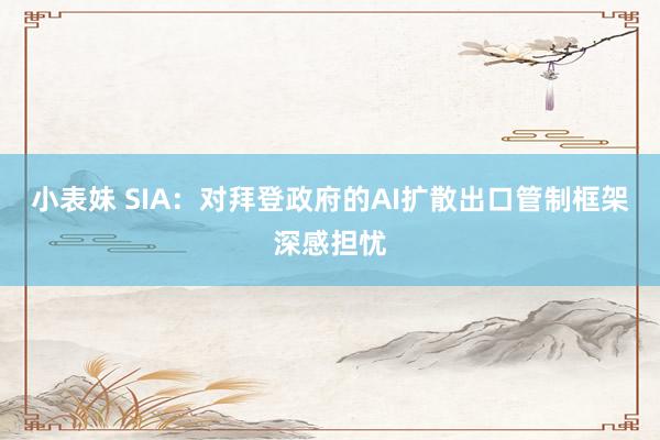 小表妹 SIA：对拜登政府的AI扩散出口管制框架深感担忧