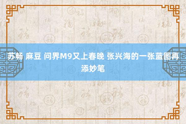 苏畅 麻豆 问界M9又上春晚 张兴海的一张蓝图再添妙笔