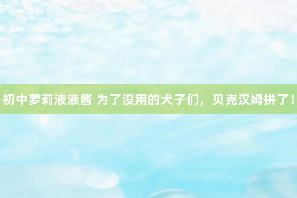 初中萝莉液液酱 为了没用的犬子们，贝克汉姆拼了！
