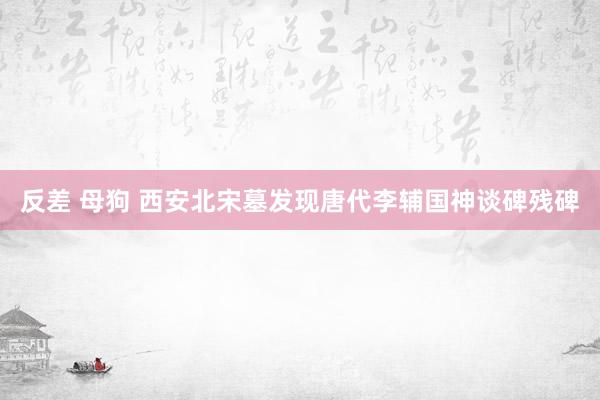 反差 母狗 西安北宋墓发现唐代李辅国神谈碑残碑
