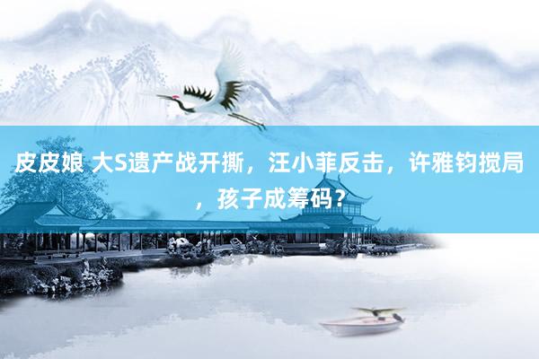皮皮娘 大S遗产战开撕，汪小菲反击，许雅钧搅局，孩子成筹码？