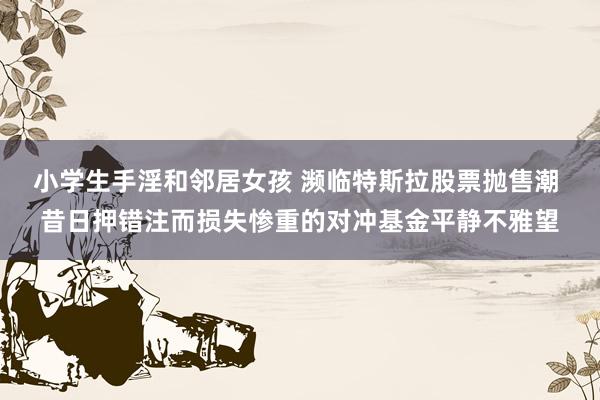 小学生手淫和邻居女孩 濒临特斯拉股票抛售潮 昔日押错注而损失惨重的对冲基金平静不雅望