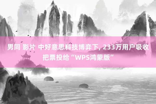 男同 影片 中好意思科技博弈下， 233万用户吸收把票投给“WPS鸿蒙版”