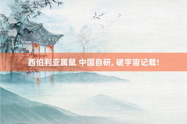 西伯利亚属鼠 中国自研， 破宇宙记载!