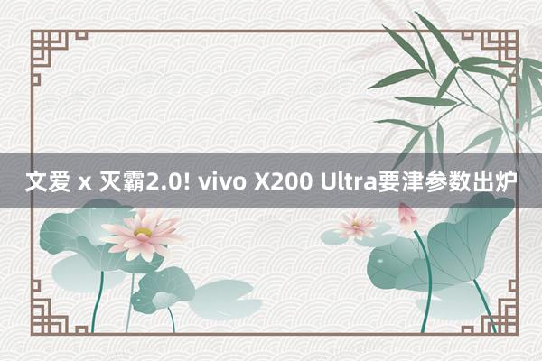 文爱 x 灭霸2.0! vivo X200 Ultra要津参数出炉