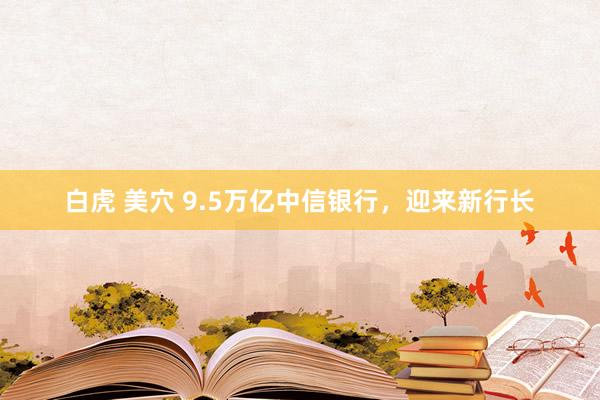 白虎 美穴 9.5万亿中信银行，迎来新行长