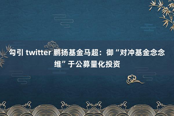 勾引 twitter 鹏扬基金马超：御“对冲基金念念维”于公募量化投资