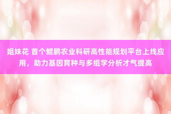 姐妹花 首个鲲鹏农业科研高性能规划平台上线应用，助力基因育种与多组学分析才气提高