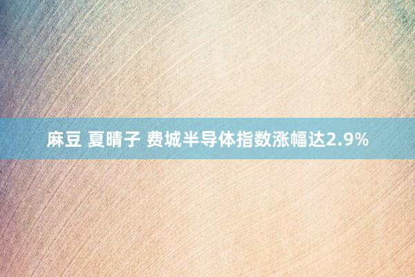 麻豆 夏晴子 费城半导体指数涨幅达2.9%