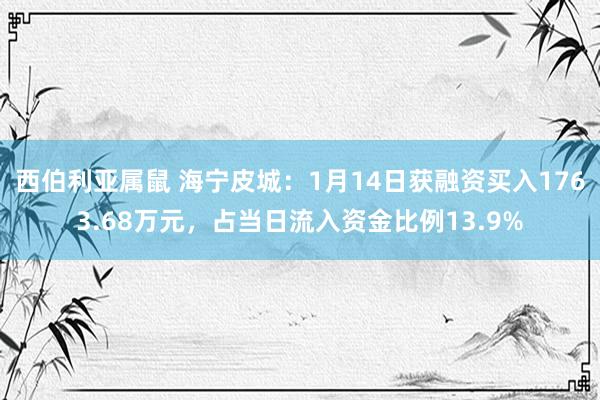 西伯利亚属鼠 海宁皮城：1月14日获融资买入1763.68万元，占当日流入资金比例13.9%