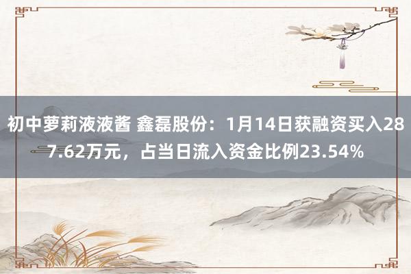 初中萝莉液液酱 鑫磊股份：1月14日获融资买入287.62万元，占当日流入资金比例23.54%