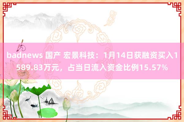 badnews 国产 宏景科技：1月14日获融资买入1589.83万元，占当日流入资金比例15.57%