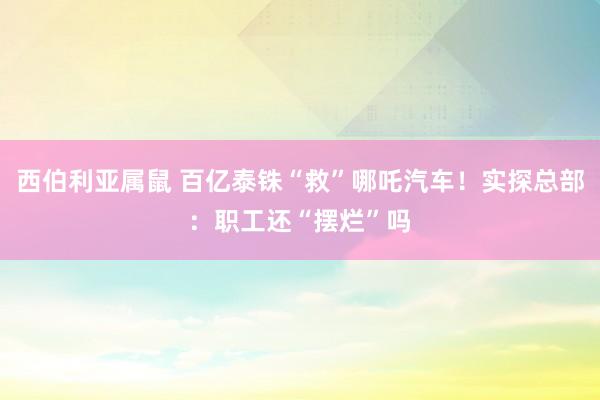 西伯利亚属鼠 百亿泰铢“救”哪吒汽车！实探总部：职工还“摆烂”吗