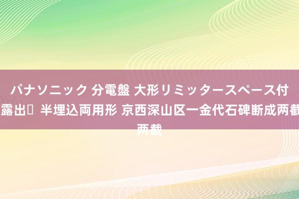 パナソニック 分電盤 大形リミッタースペース付 露出・半埋込両用形 京西深山区一金代石碑断成两截