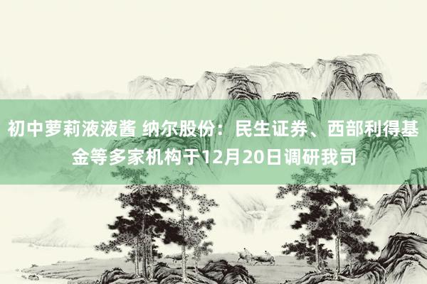 初中萝莉液液酱 纳尔股份：民生证券、西部利得基金等多家机构于12月20日调研我司