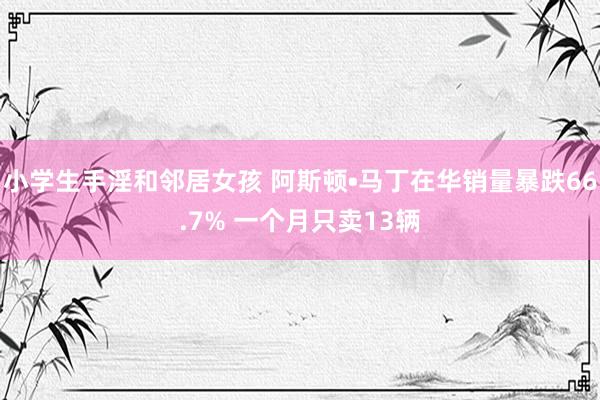 小学生手淫和邻居女孩 阿斯顿•马丁在华销量暴跌66.7% 一个月只卖13辆