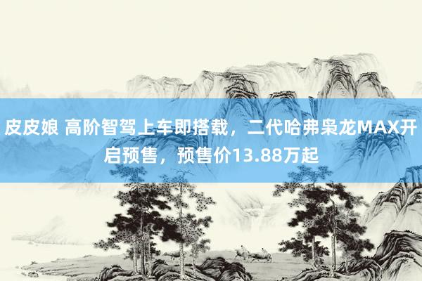 皮皮娘 高阶智驾上车即搭载，二代哈弗枭龙MAX开启预售，预售价13.88万起