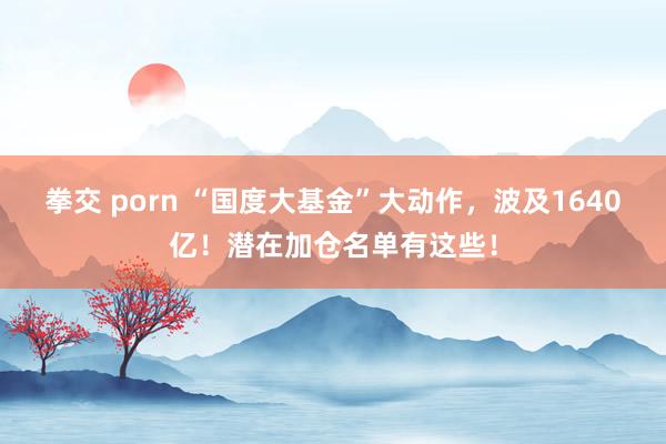 拳交 porn “国度大基金”大动作，波及1640亿！潜在加仓名单有这些！