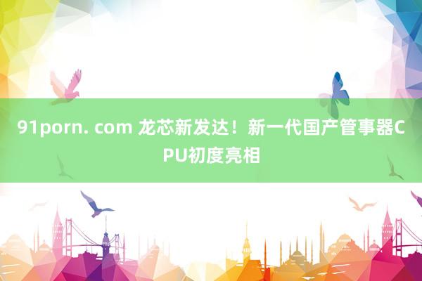 91porn. com 龙芯新发达！新一代国产管事器CPU初度亮相