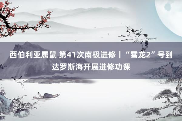 西伯利亚属鼠 第41次南极进修丨“雪龙2”号到达罗斯海开展进修功课