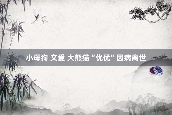 小母狗 文爱 大熊猫“优优”因病离世