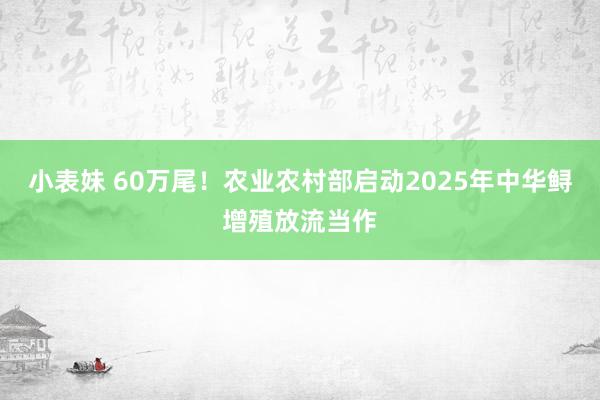 小表妹 60万尾！农业农村部启动2025年中华鲟增殖放流当作