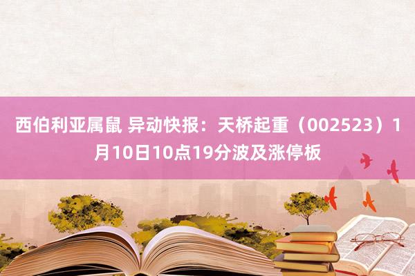 西伯利亚属鼠 异动快报：天桥起重（002523）1月10日10点19分波及涨停板