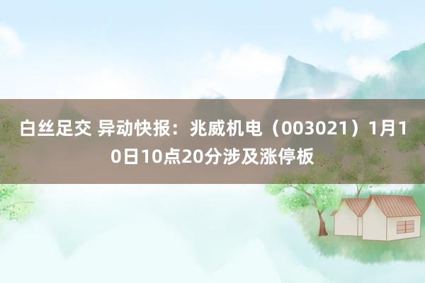 白丝足交 异动快报：兆威机电（003021）1月10日10点20分涉及涨停板