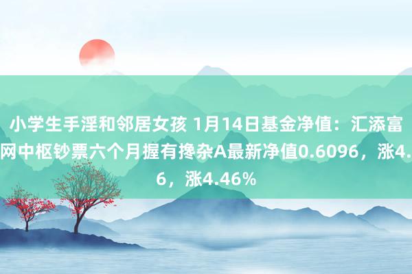 小学生手淫和邻居女孩 1月14日基金净值：汇添富互联网中枢钞票六个月握有搀杂A最新净值0.6096，涨4.46%