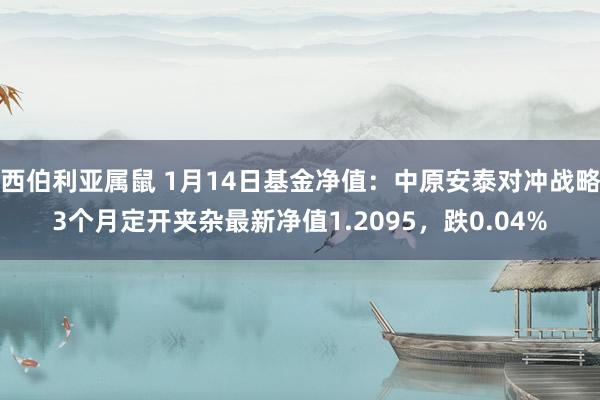 西伯利亚属鼠 1月14日基金净值：中原安泰对冲战略3个月定开夹杂最新净值1.2095，跌0.04%