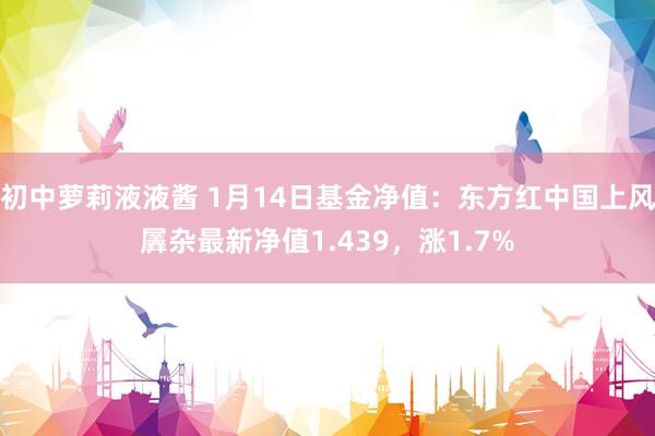 初中萝莉液液酱 1月14日基金净值：东方红中国上风羼杂最新净值1.439，涨1.7%
