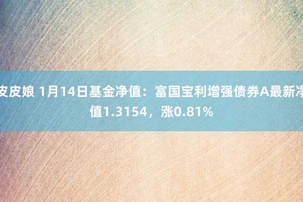 皮皮娘 1月14日基金净值：富国宝利增强债券A最新净值1.3154，涨0.81%