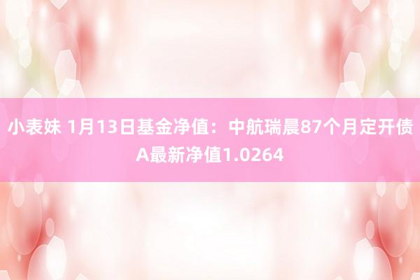 小表妹 1月13日基金净值：中航瑞晨87个月定开债A最新净值1.0264