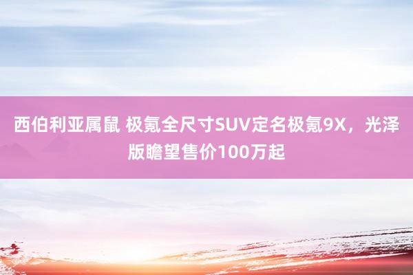 西伯利亚属鼠 极氪全尺寸SUV定名极氪9X，光泽版瞻望售价100万起