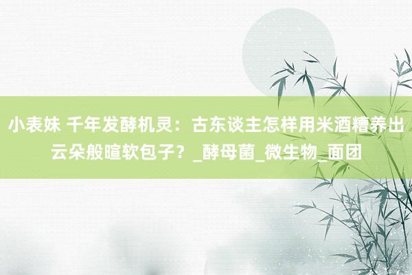 小表妹 千年发酵机灵：古东谈主怎样用米酒糟养出云朵般暄软包子？_酵母菌_微生物_面团