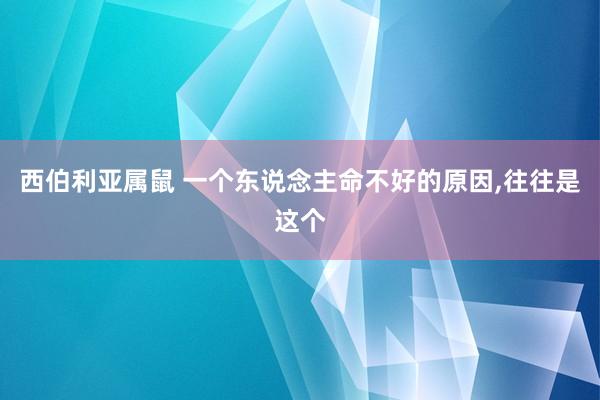 西伯利亚属鼠 一个东说念主命不好的原因，往往是这个