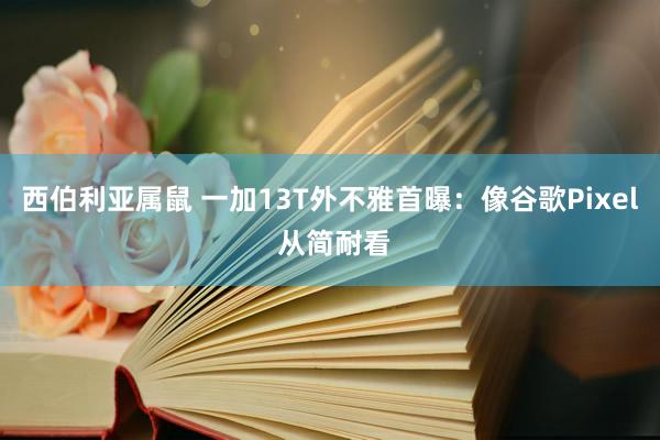 西伯利亚属鼠 一加13T外不雅首曝：像谷歌Pixel 从简耐看